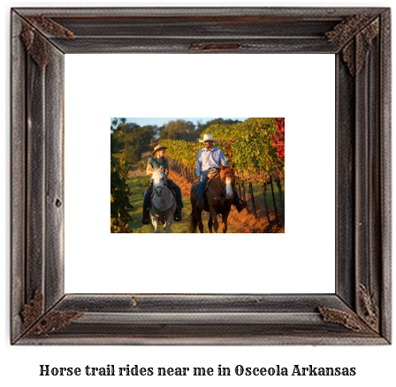 horse trail rides near me in Osceola, Arkansas